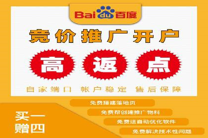 百度推广技巧：成功案例分享与解析